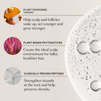 https://cdn.shopify.com/s/files/1/1336/0857/files/07_GRO_Hair-Serum_Ingredients_06.30.25_4dd302ac-09db-4726-8691-a39d7eb9254c.jpg?v=1763710276