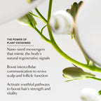 https://cdn.shopify.com/s/files/1/1336/0857/files/08_GRO_Hair-Serum_Plant-Exosomes_06.30.25.jpg?v=1763710276