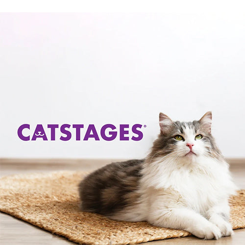 Catstages Melon Madness Interactive Puzzle and Play Cat Enrichment Toy