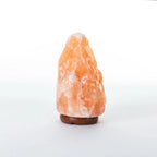 Himalayan Salt Lamp with Natural Crystal, Warm Glow Night Light Home Decor for Bedroom & Living Room, Decorative Mood Lighting